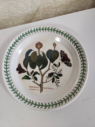 Hippomane Mancinella dinner plate The botanical garden circa 1818