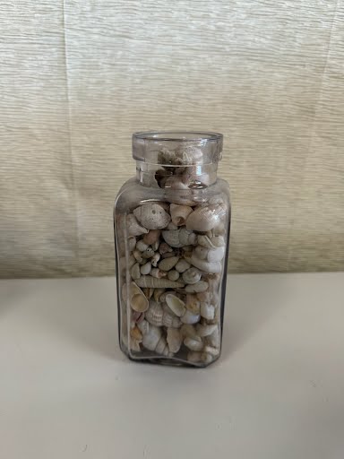 Clear Vase with shells Home Item