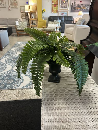 Faux Fern