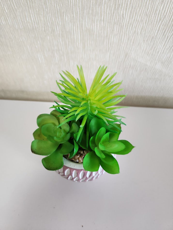Mini Plant Home Item