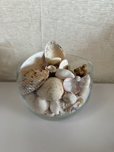 Clear Vase With Shells Home Item