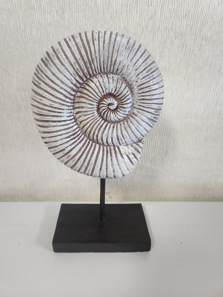 Shell Wood Sculpture Home Item