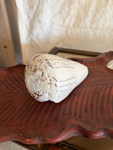 Shell Home Item