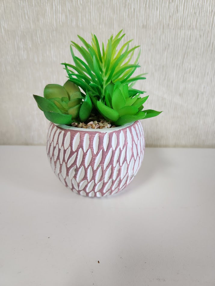 Mini Plant Home Item