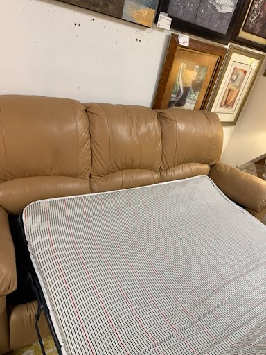 Camel Color Sleeper sofa