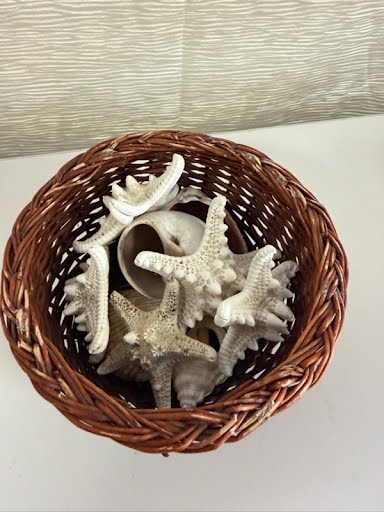 Starfish Decor Home Item