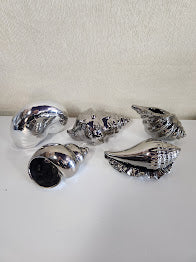 Silver Ceramic Shells Home Item
