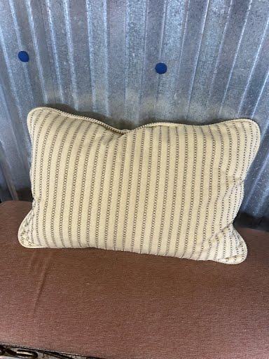 Pillow 20x12
