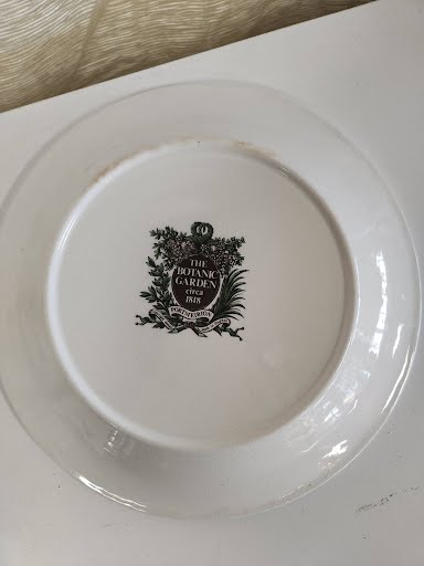 Hippomane Mancinella dinner plate The botanical garden circa 1818