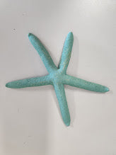 Blue Starfish Home Item
