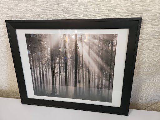 27.5x21 Forrest Photography - Black Frame