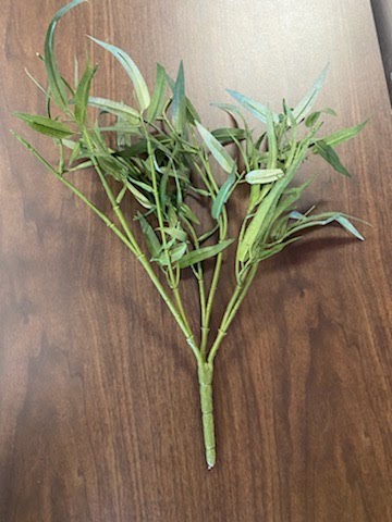Green stem