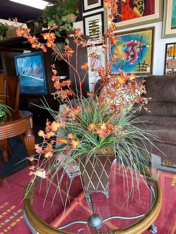 Wild Orchid Vine Planter