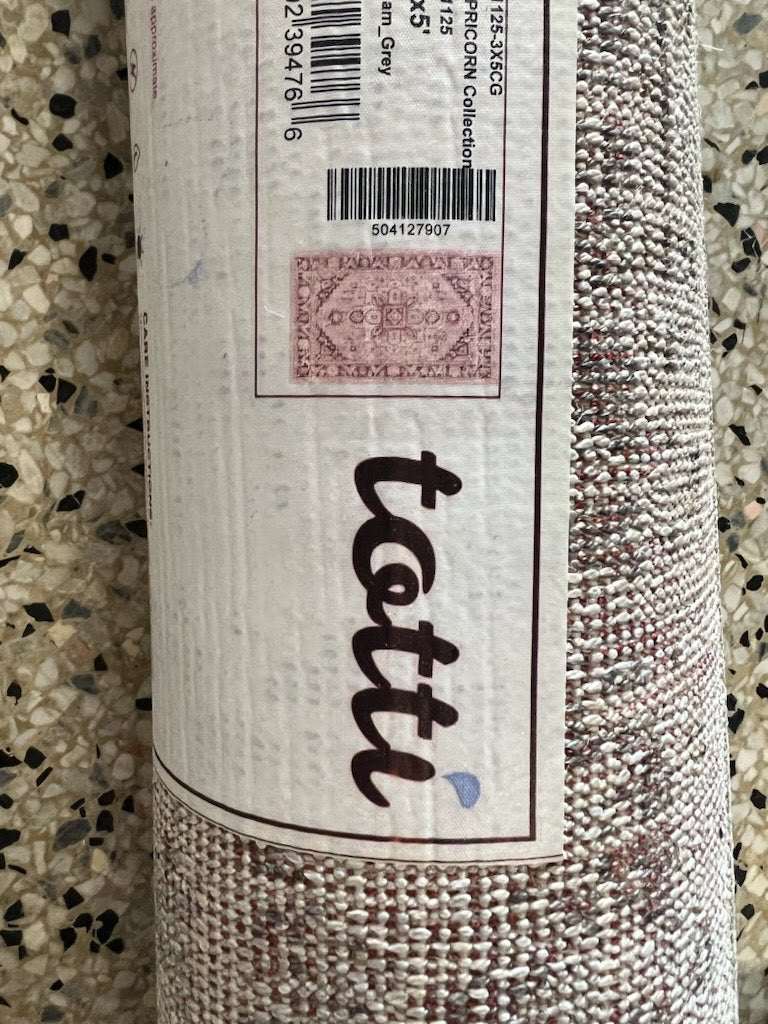 3x5' Totti Grey Area Rug