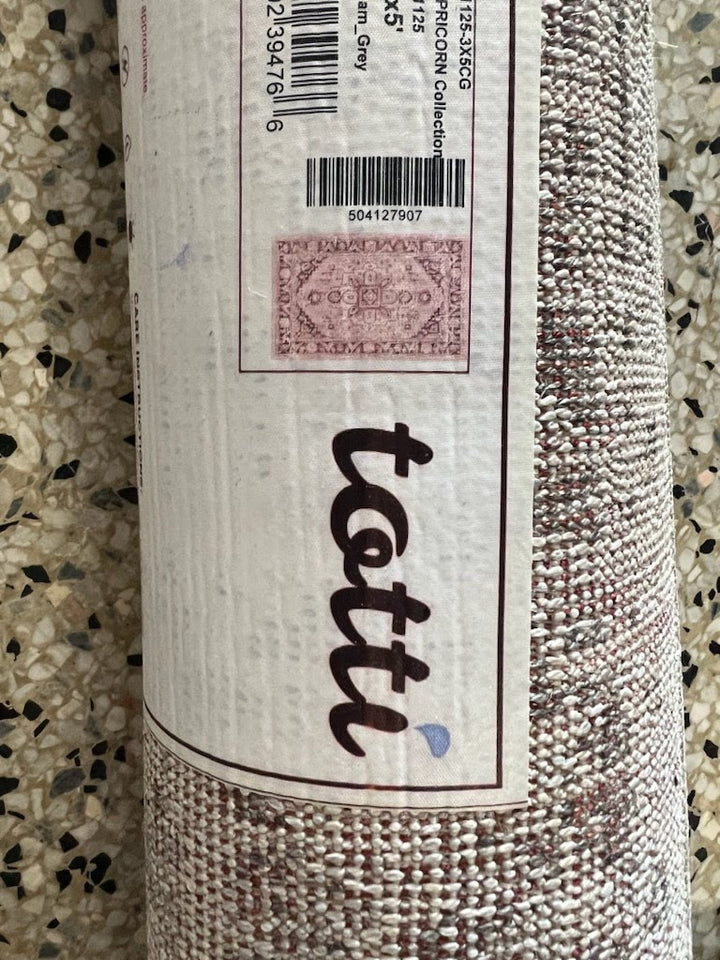 3x5' Totti Grey Area Rug