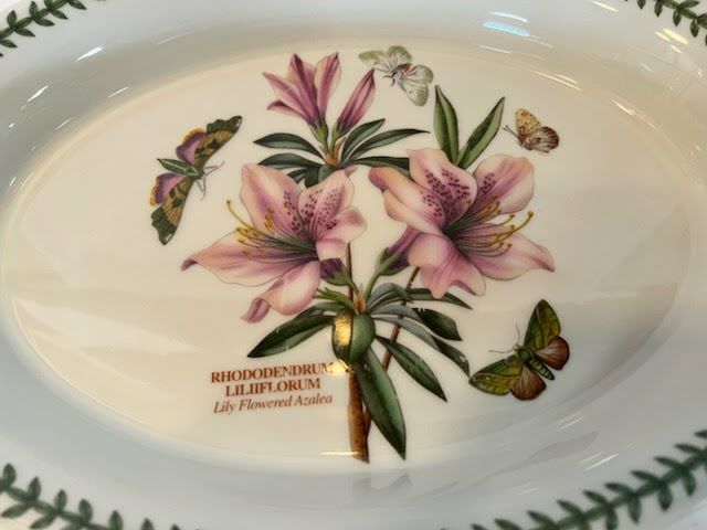 Botanic Garden oval serving dish