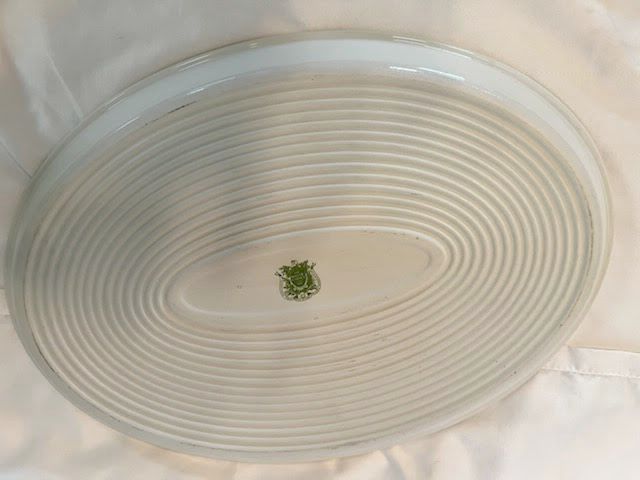 Botanic Garden Oval Platter