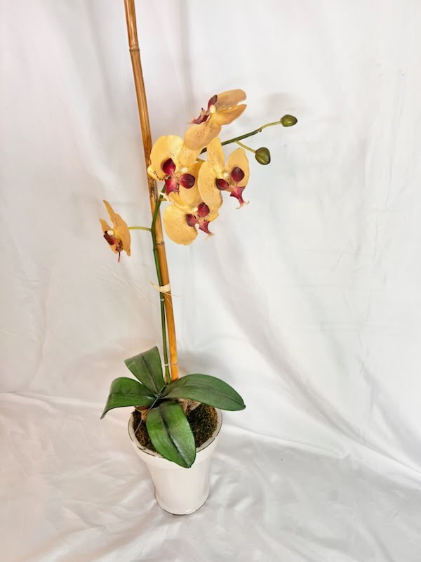 Pink Orchid Floral Arrangement