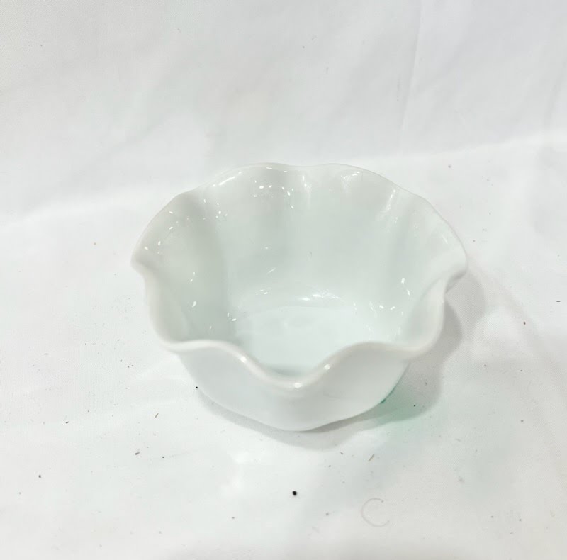 Pier 1 Imports White Dish