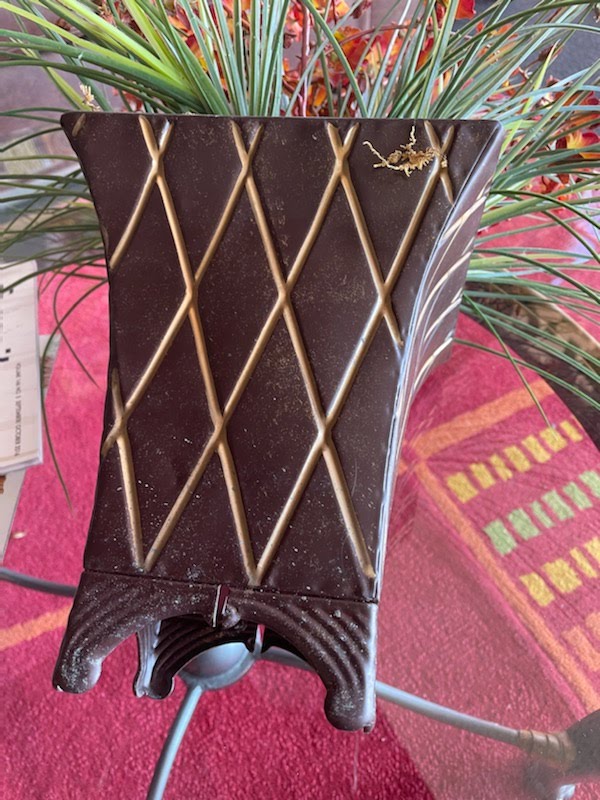 Wild Orchid Vine Planter
