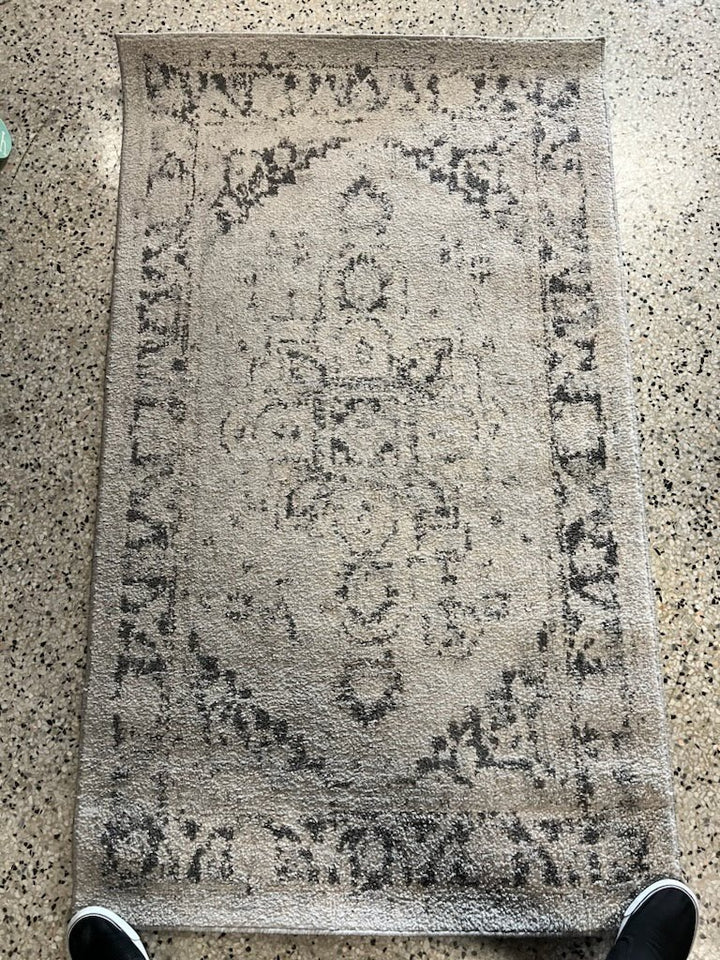 3x5' Totti Grey Area Rug